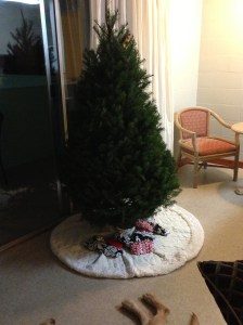 our sweet little tree - the first one!