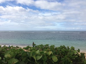 Do you sea what I sea?