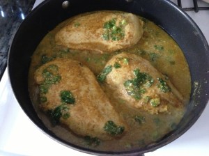 juicy curried protein
