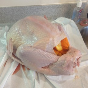 Happy Thanksgiving 2013