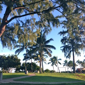 Patron Saint of&nbsp;Hips