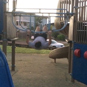 To gym or not to&nbsp;gym?